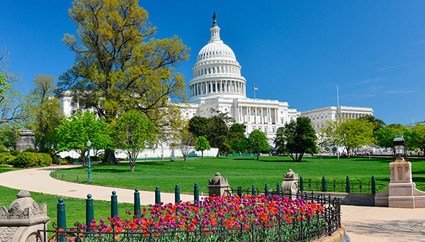 Washington capital hill in spring time.